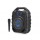 ‏בידורית קריוקי Pure Acoustics LX-40 פיור אקוסטיקס