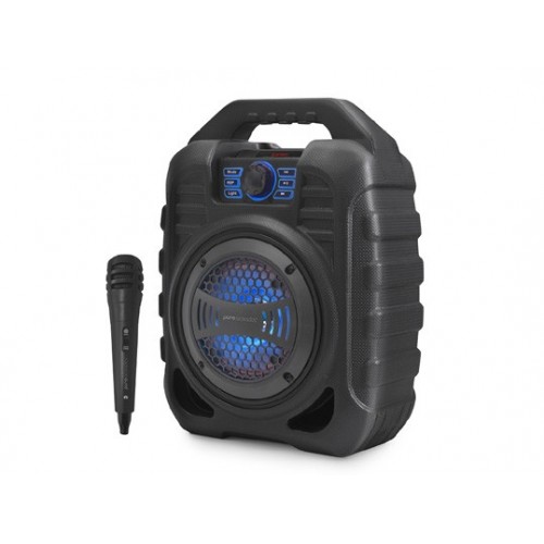 ‏בידורית קריוקי Pure Acoustics LX-40 פיור אקוסטיקס