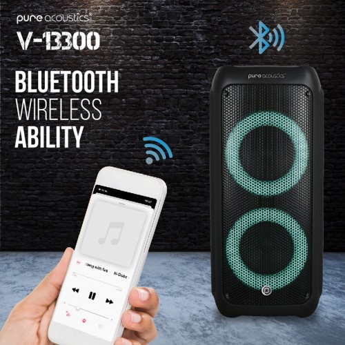 PURE ACOUSTICS V-13300