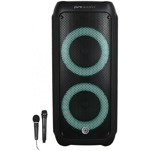 PURE ACOUSTICS V-13300