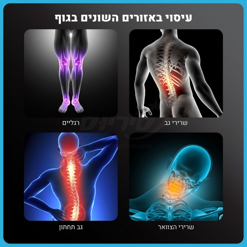 אקדח עיסוי מקצועי Carbon Gun PRO