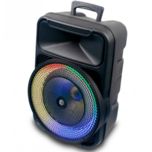 בידורית PURE-ACOUSTICS דגם V-12-250