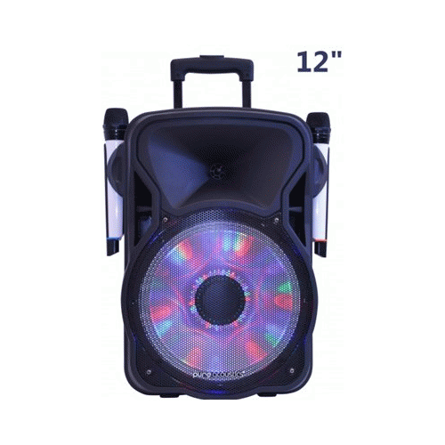 בידורית קריוקי פיור אקוסטיקס / Pure Acoustics הספק: 120W דגם LX200